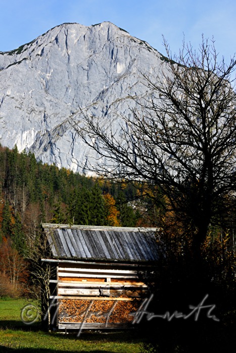 firewood stacked in a barn