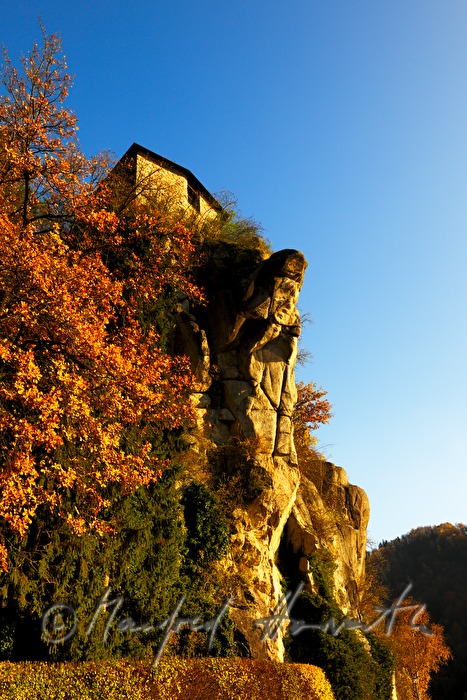 view from the Danube to the Schusterstein