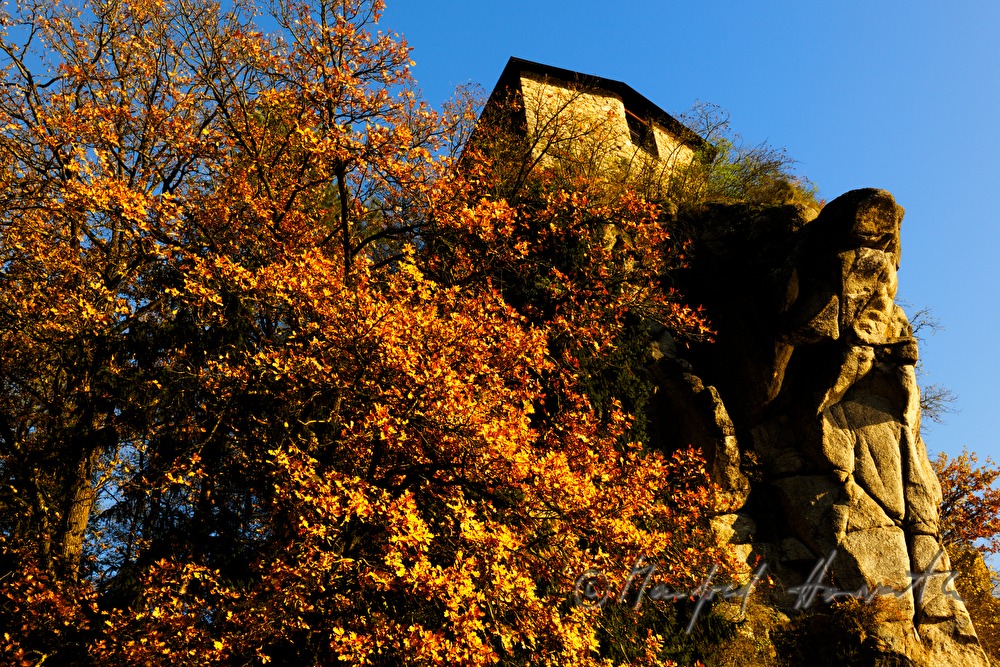 view from the Danube to the Schusterstein