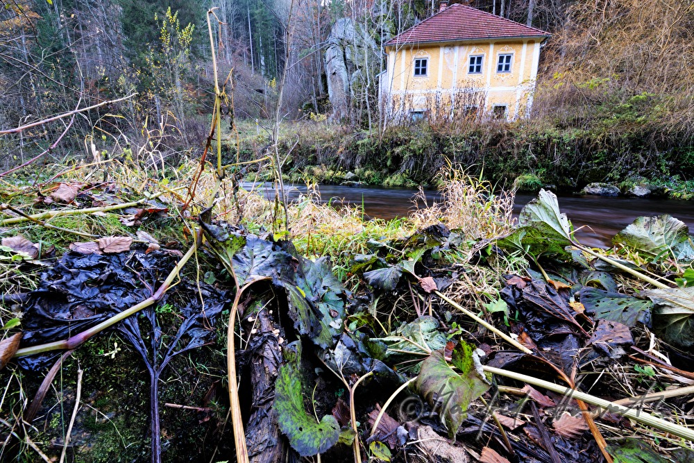 mill on the rivershore of the river Waldaist