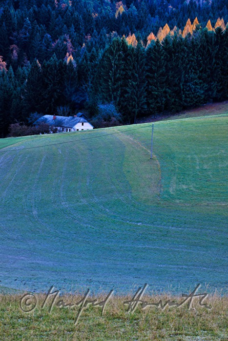 solitary farm house on the edge of the wood