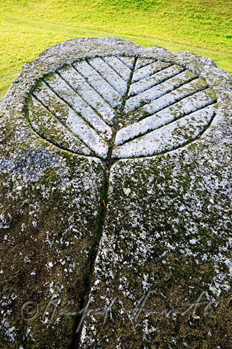 stone for making bitumen out of candlewood pine