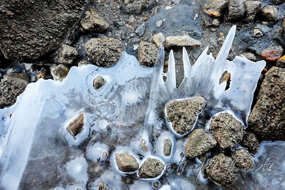 frozen stones on the lakeshore