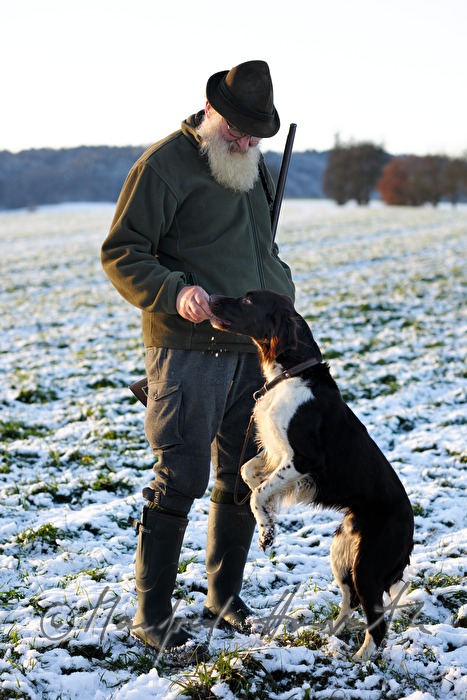 hunter and hunting dog during a battue