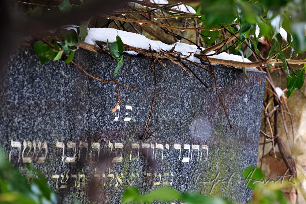 gravestone at the jewish cemetery
