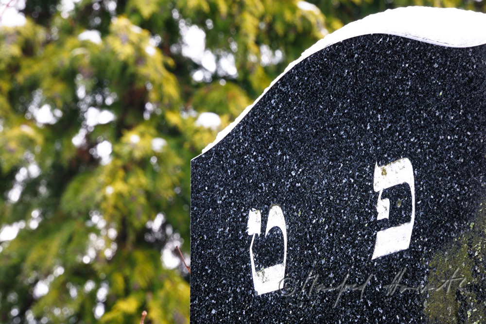 gravestone at the jewish cemetery