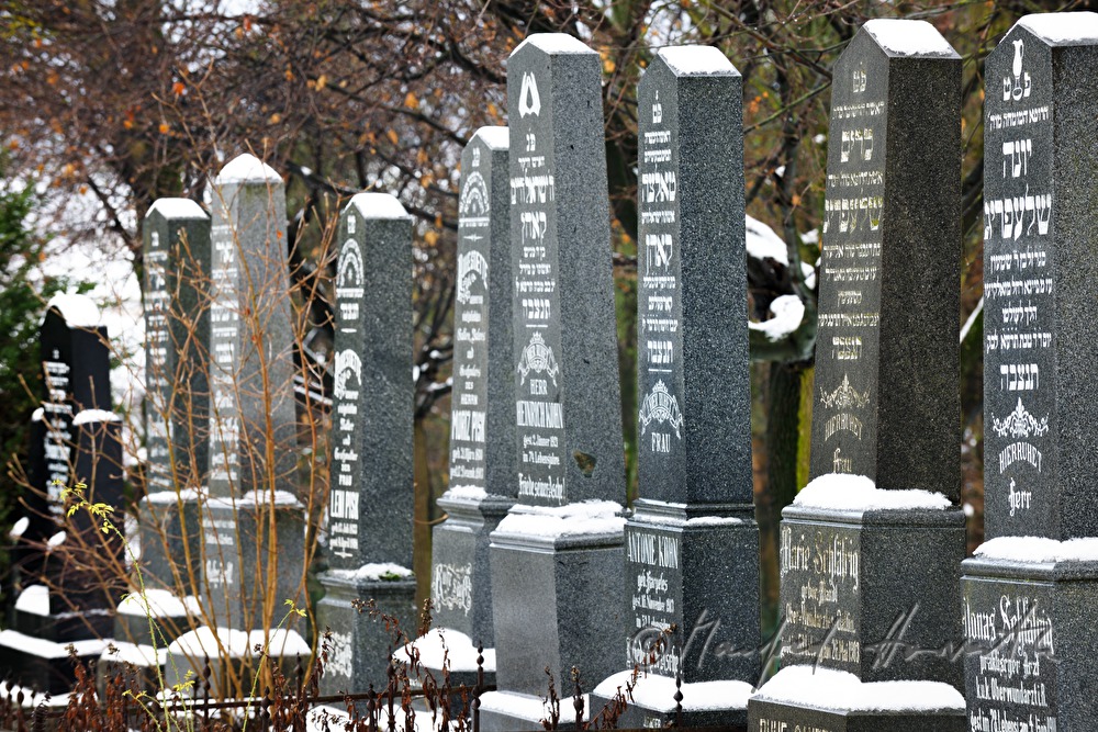 gravestones at the jewish cemetery