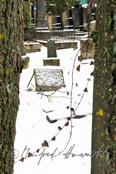 gravestones at the jewish cemetery