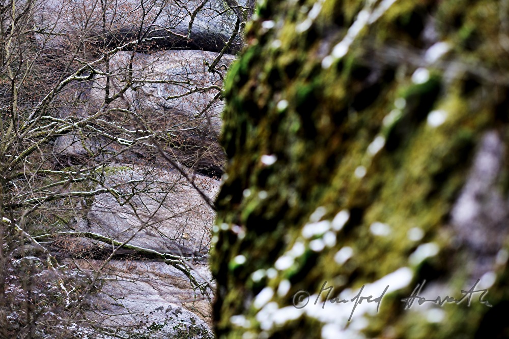 moss-covered rock and fissured granite