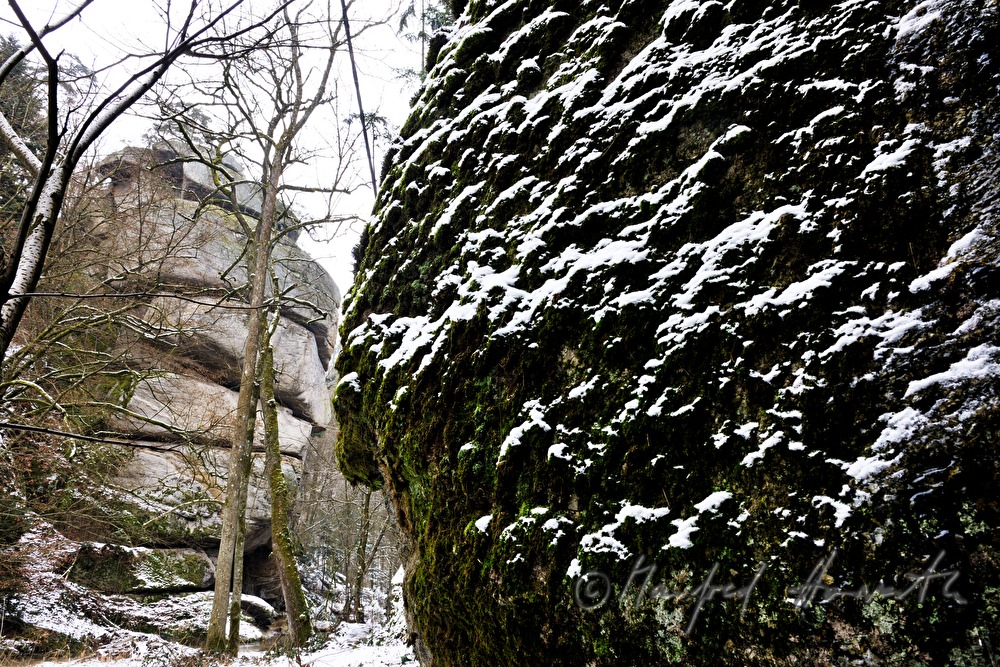 moss-covered rock and fissured granite