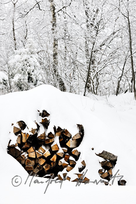 pile of wood