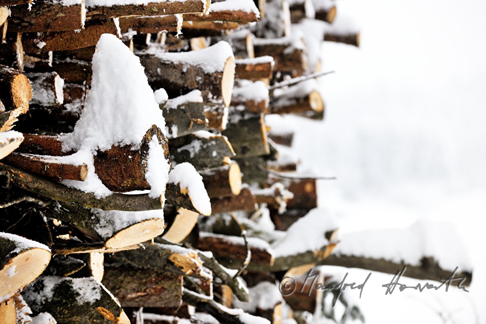 pile of wood