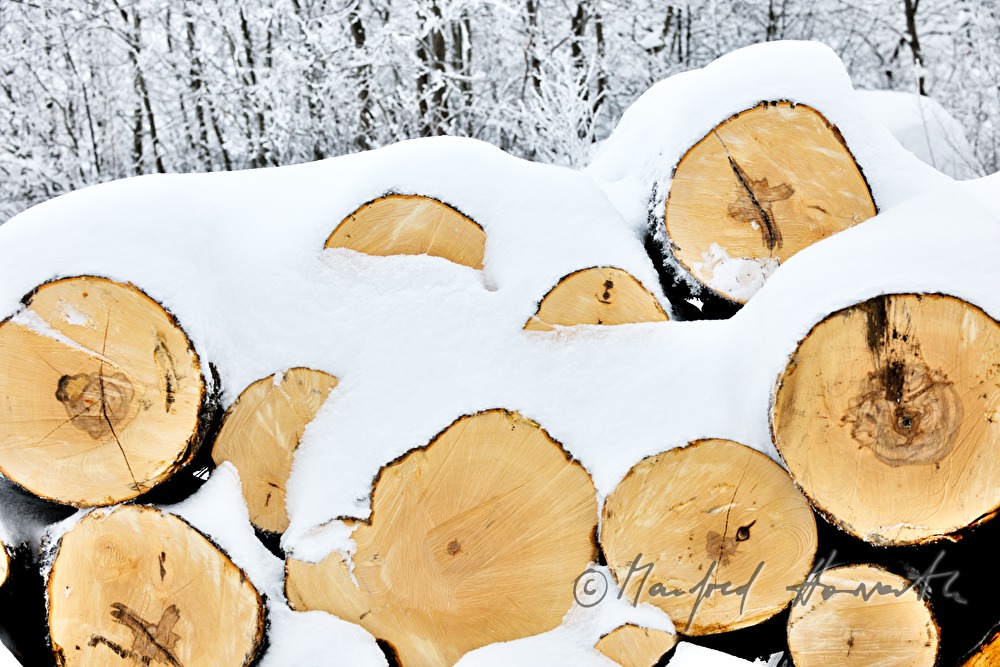 pile of wood