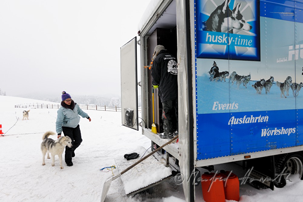loading huskys into the trailer