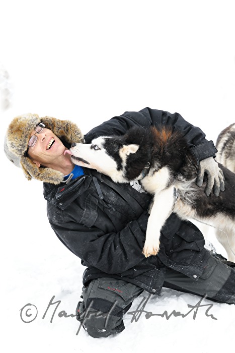 musher with dog sled husky