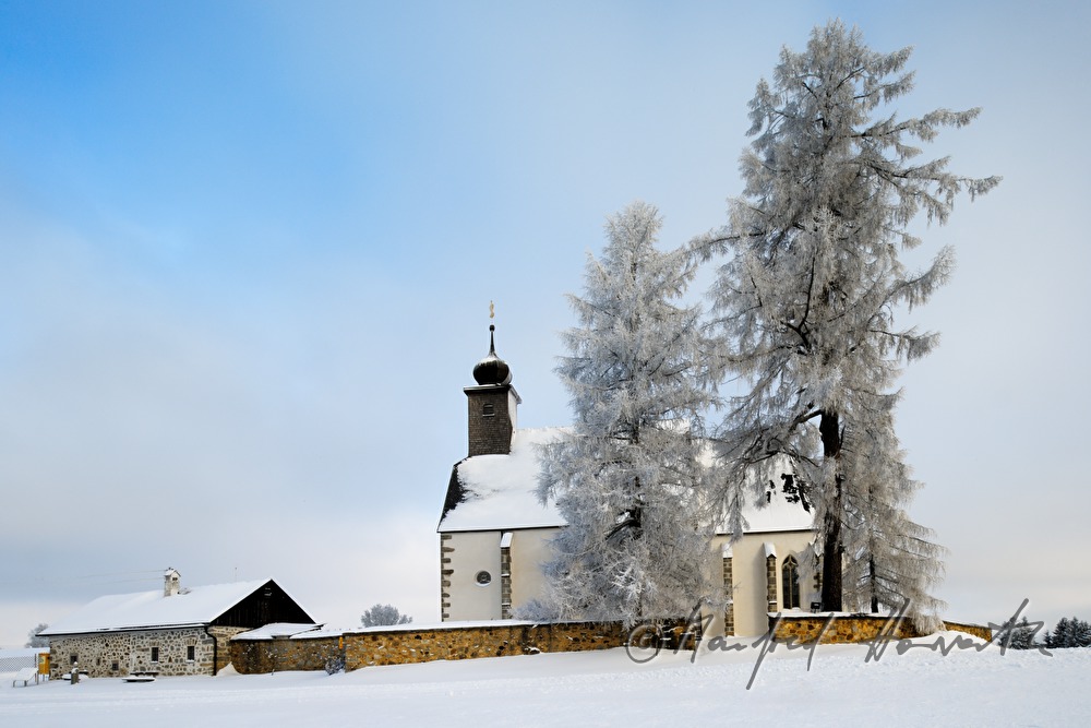 succursal church from the year 1122 and a larch tree