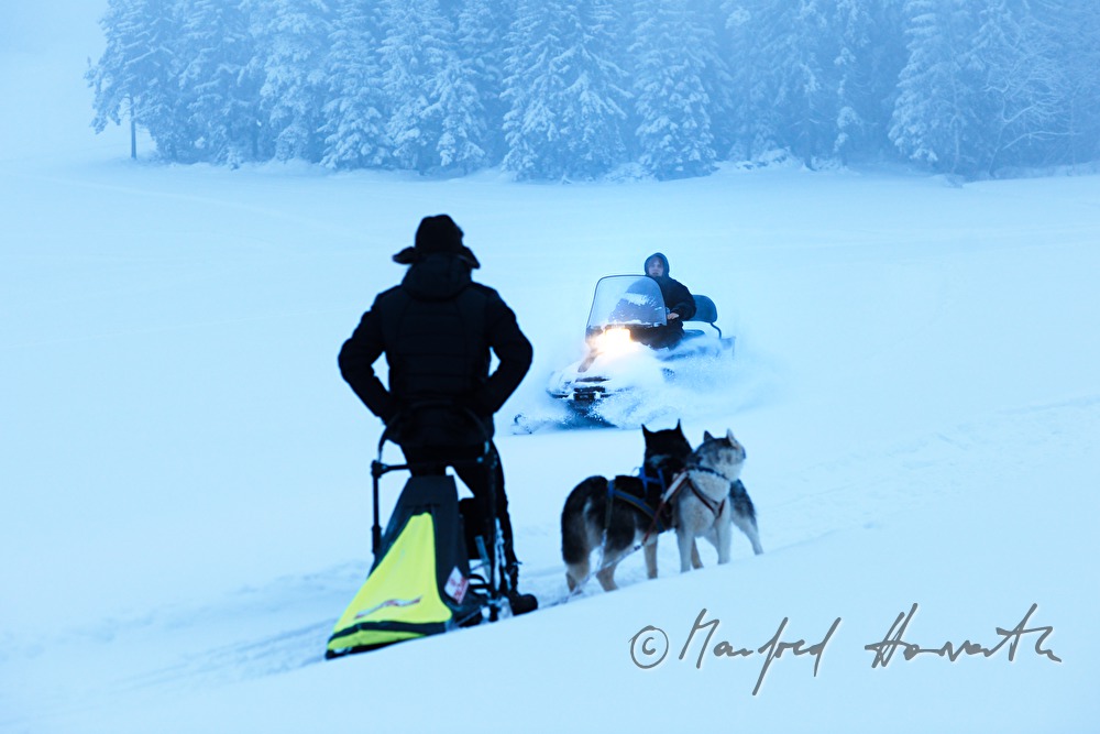 woman rides a snowmobile near a dog sled