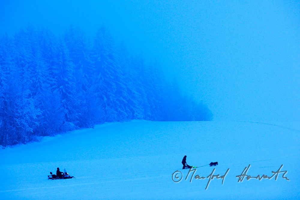 woman rides a snowmobile near a dog sled