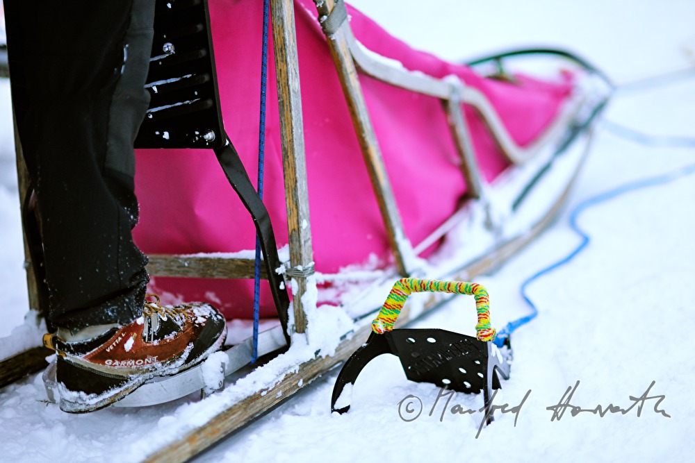 brake and snow anchor of the dog sled