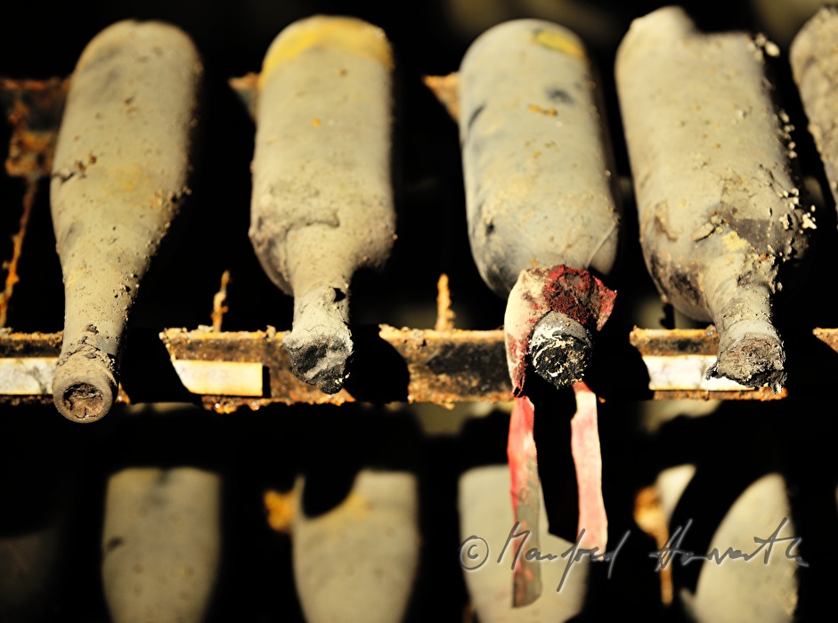 historic wine bottles in the historic wine cellar