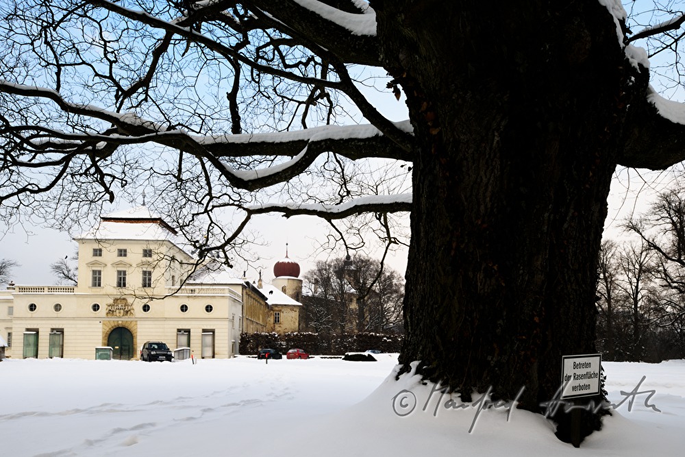Castle Ernstbrunn and square