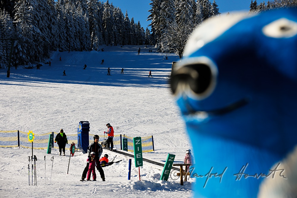 childrens ski lift and advertising pet