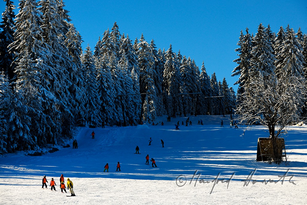 childrens ski school group on Viehberg