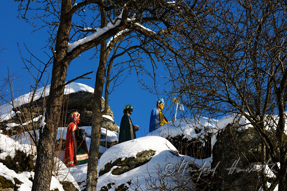 Three Wise Men crossing a forest glade