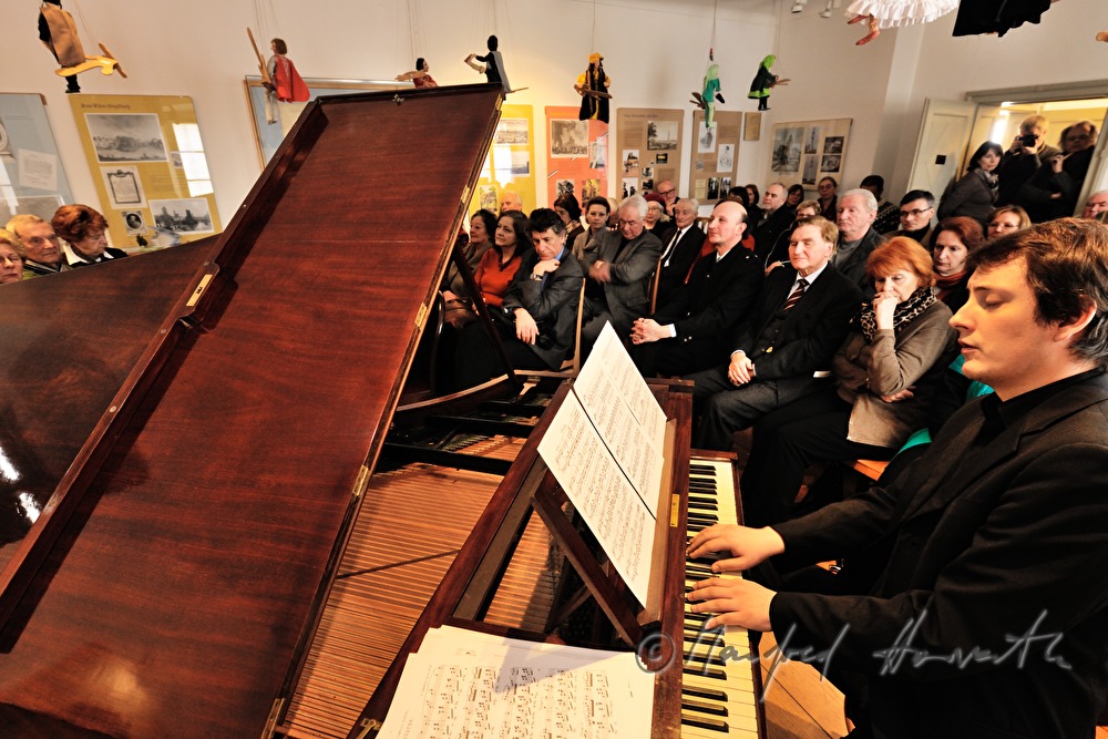 concert on an original Pleyel wing