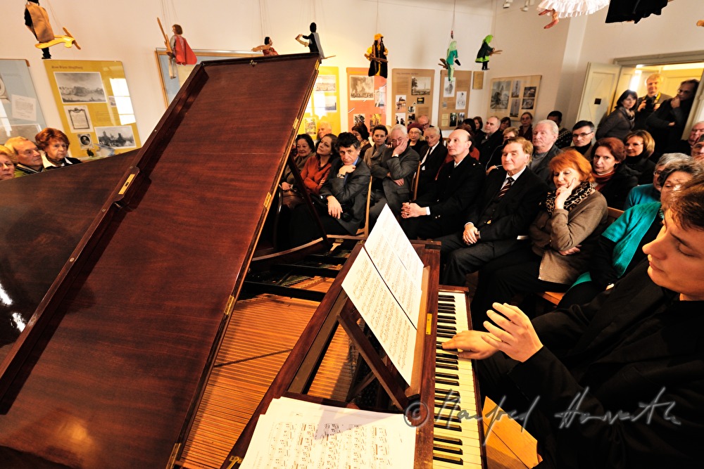 concert on an original Pleyel wing