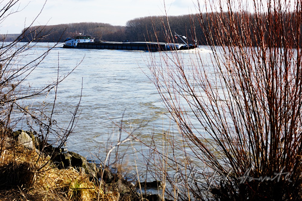 cargo ship goes upstream on the river Danube