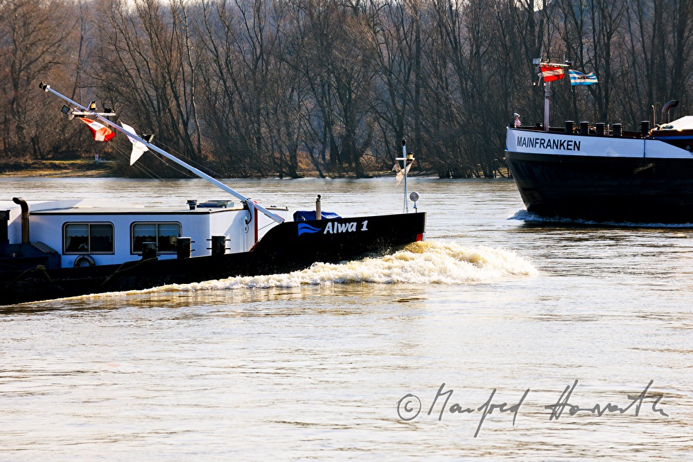 cargo ship goes upstream on the river Danube