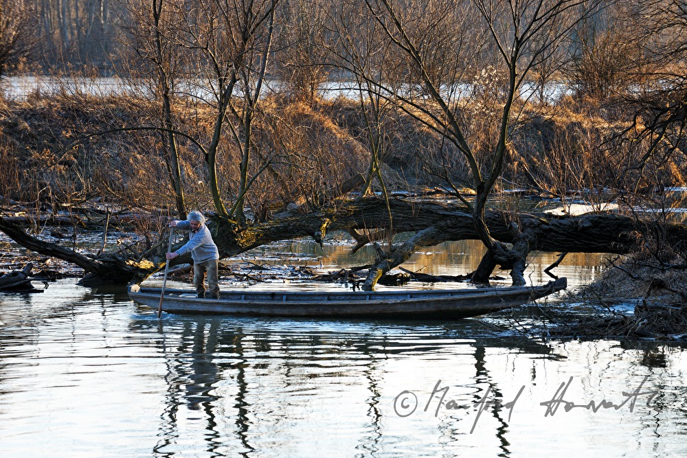 dumb barge in a cut-off meander of the Danube
