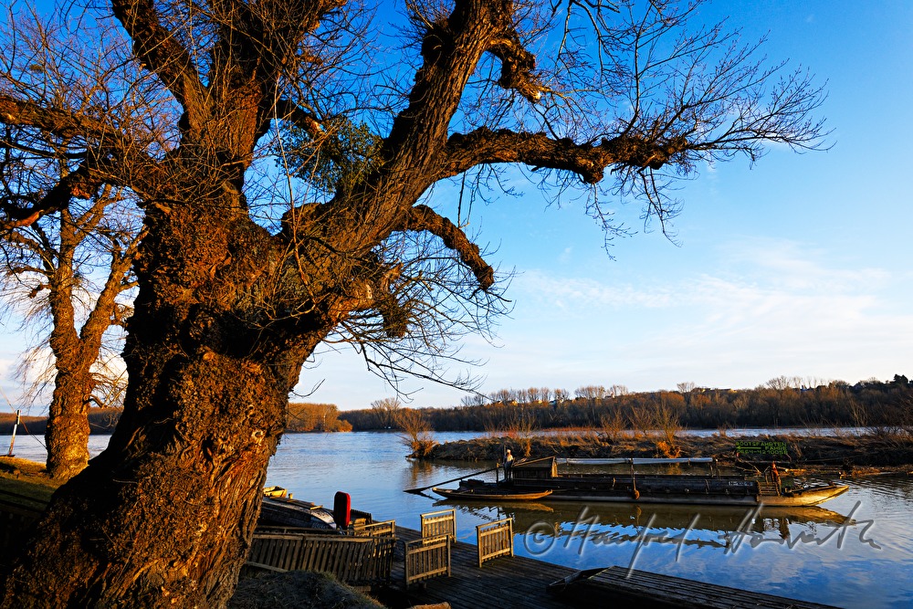 a historic Danube ship (Tschaike