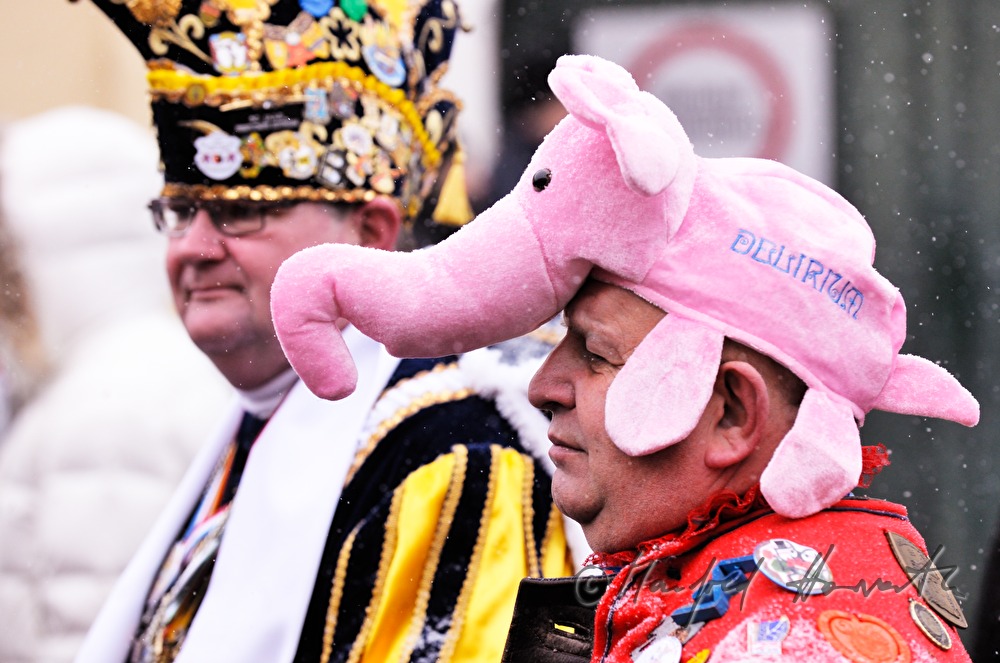 man disguised as an elephant on Mardi Gras