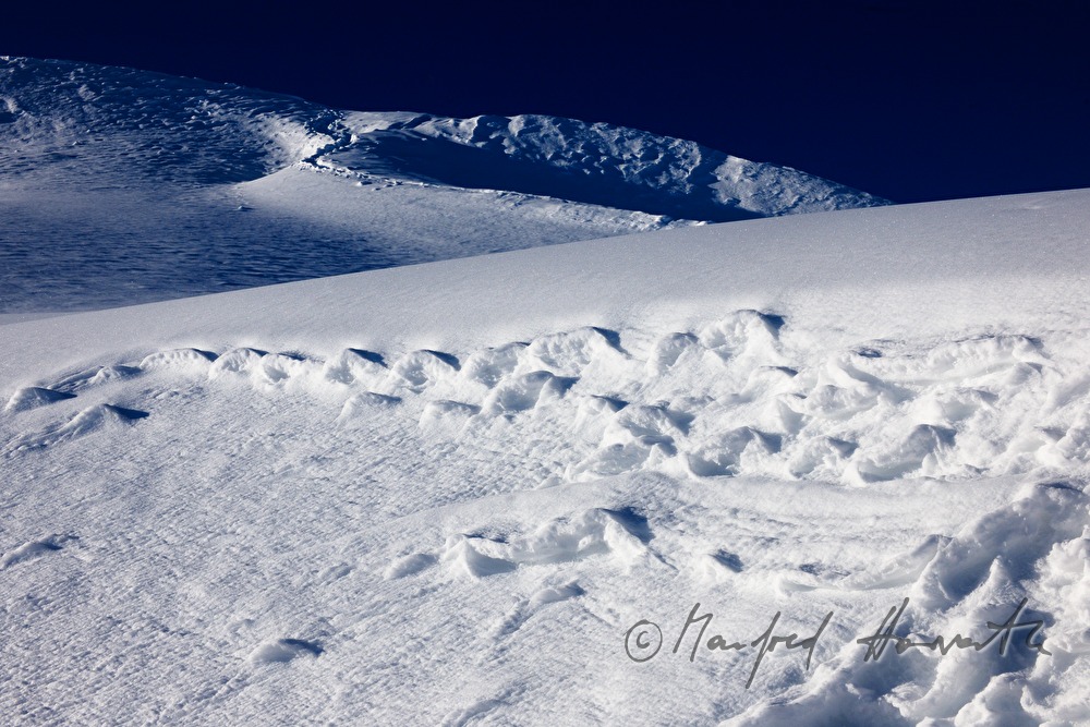 tracks of the ski tourers over the tree line
