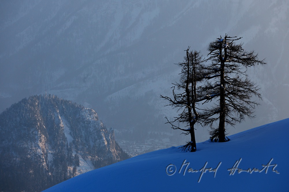 tracks of the ski tourers over the tree line