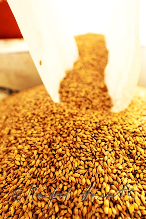 filling roasted malt into the grinder
