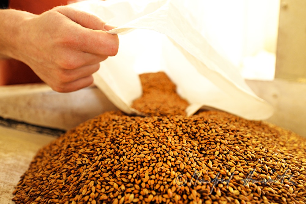 filling roasted malt into the grinder