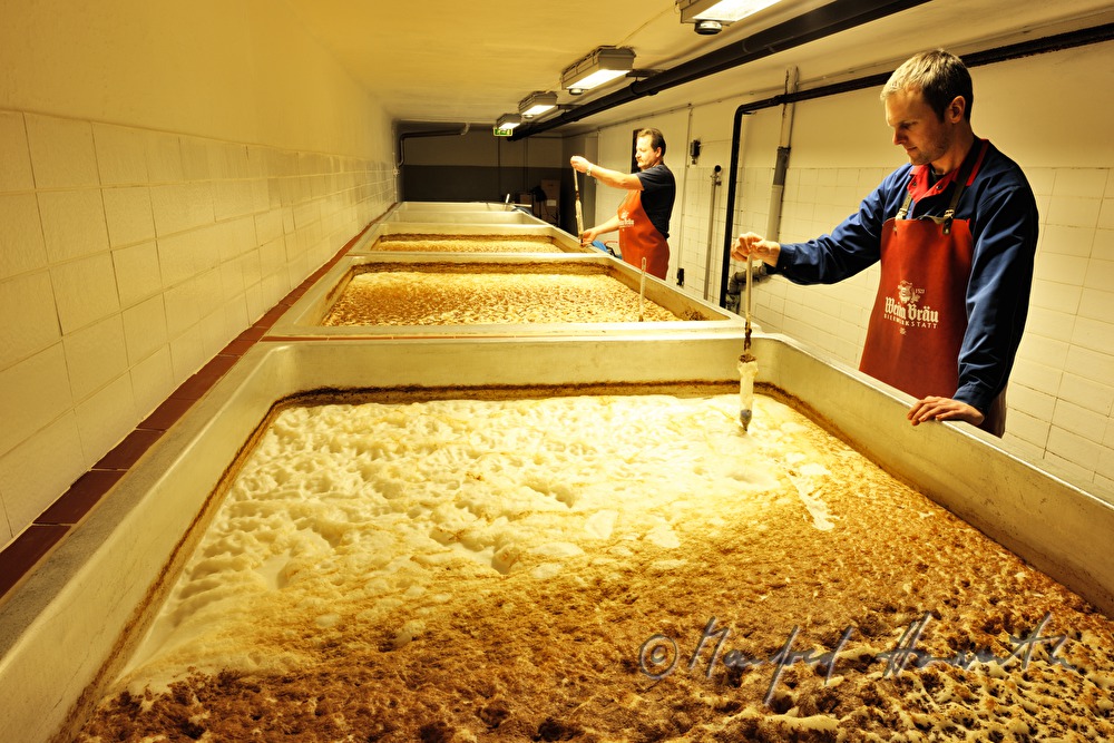 measuring temperature at the fermenting vat