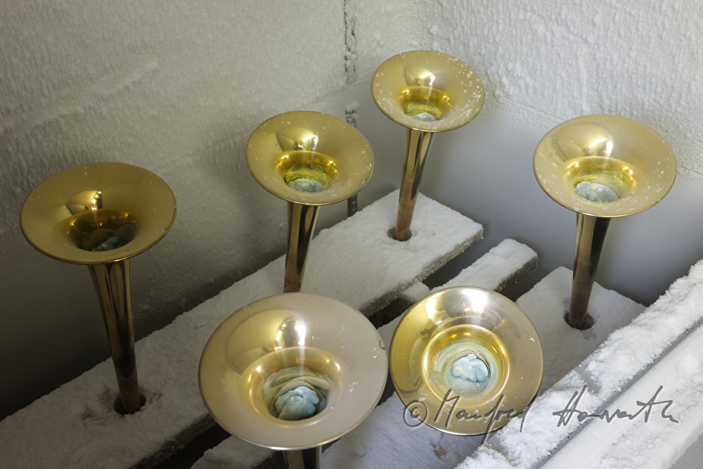refrigerated bells of trumpets