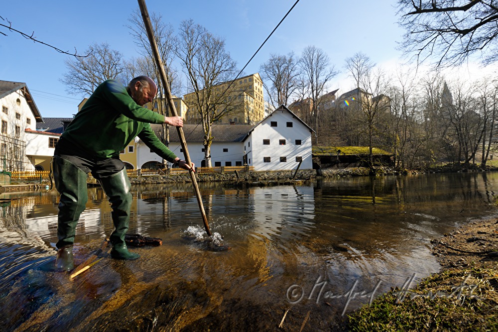millner clears the river from driftwood