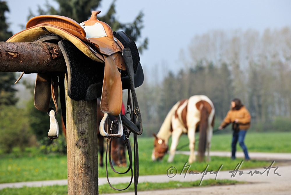 saddle on the fence at the horse festival