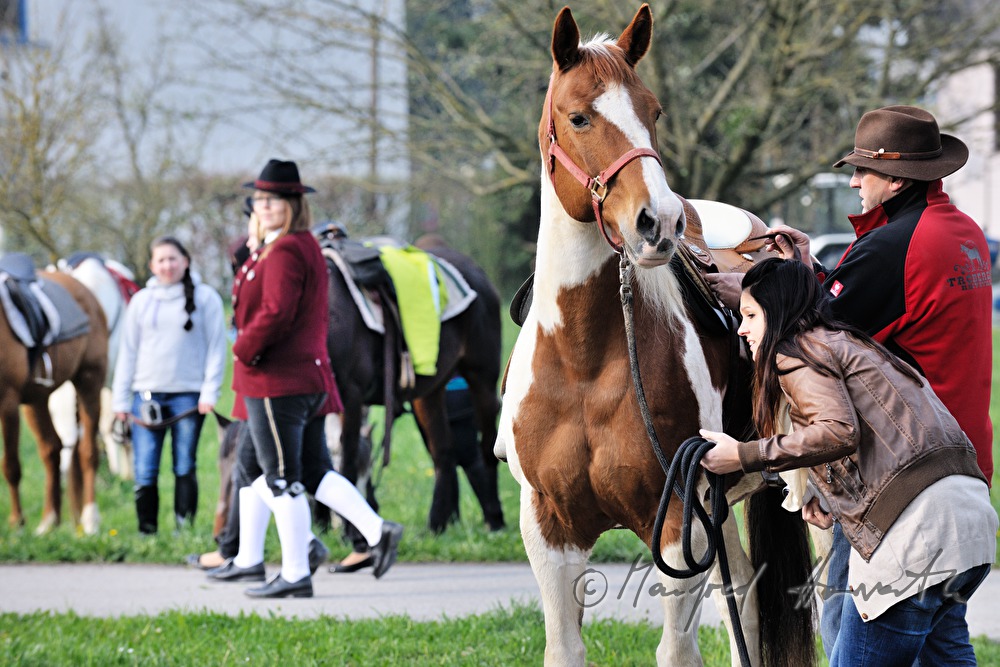 saddling up for the horse pilgrimage
