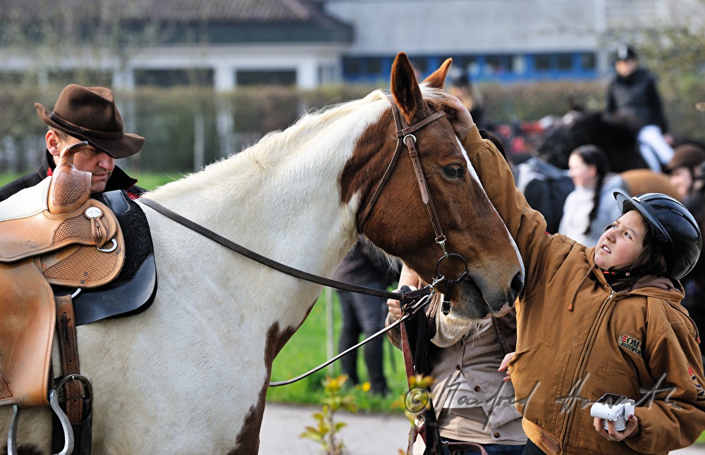saddling up for the horse pilgrimage