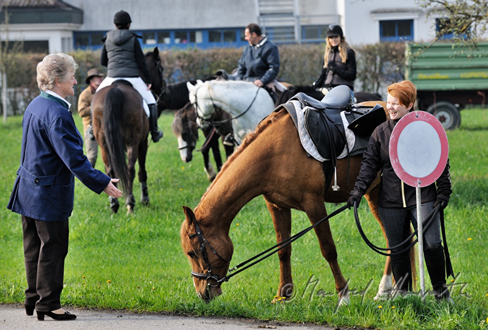 meeting at the horse pilgrimage