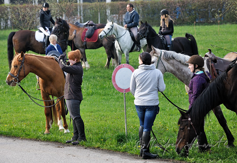 riders wait for the start of the horse pilgrimage