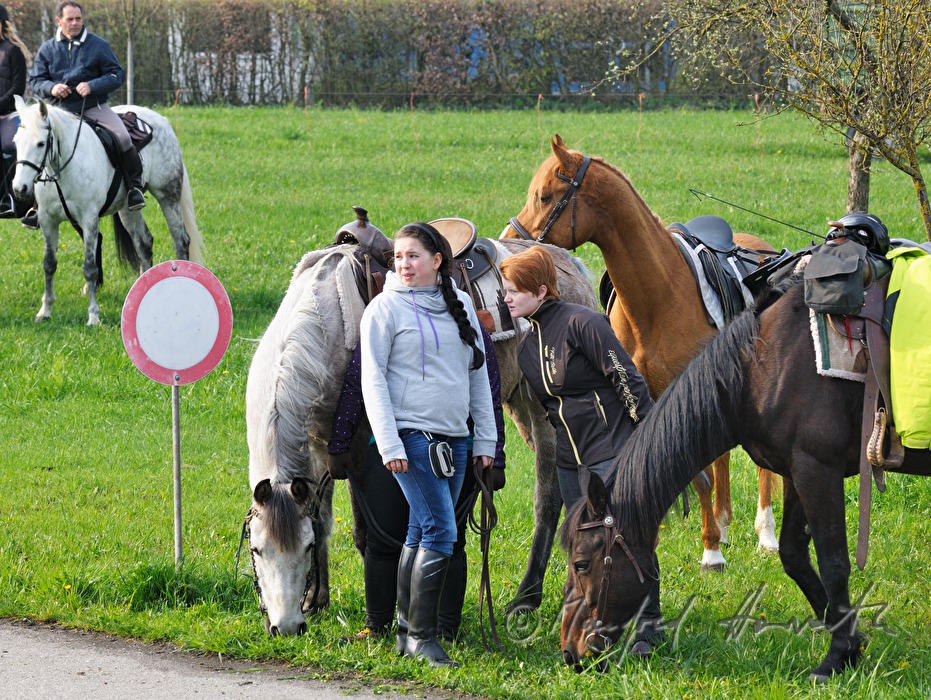 riders wait for the start of the horse pilgrimage