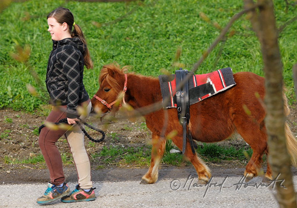 horsewoman with pony at the horse pilgrimage