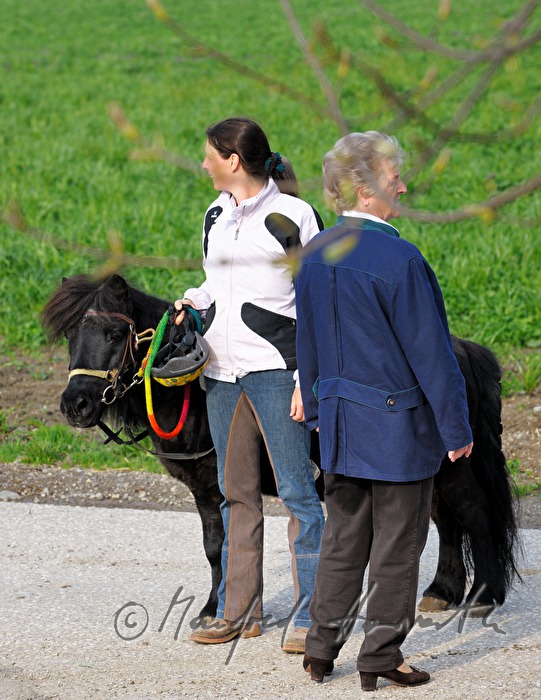 meeting at the horse pilgrimage